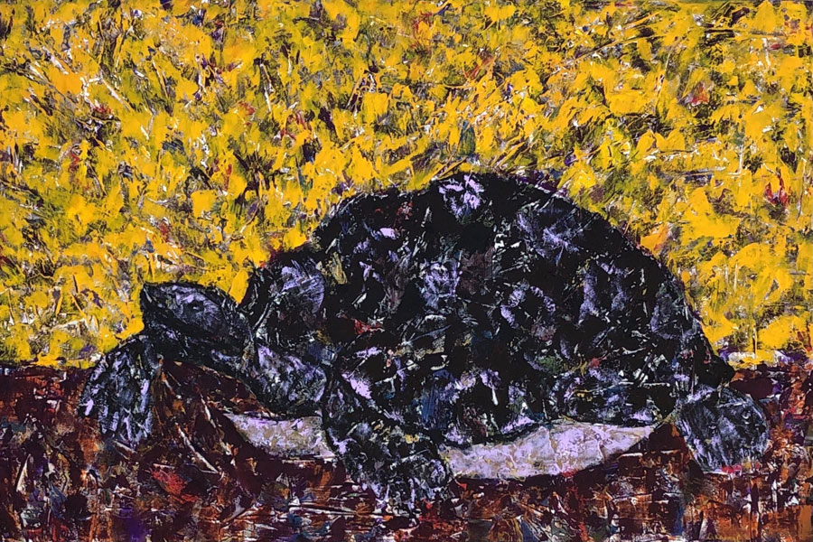 textured painting of black and lavender tortoise with burnt orange and yellow background