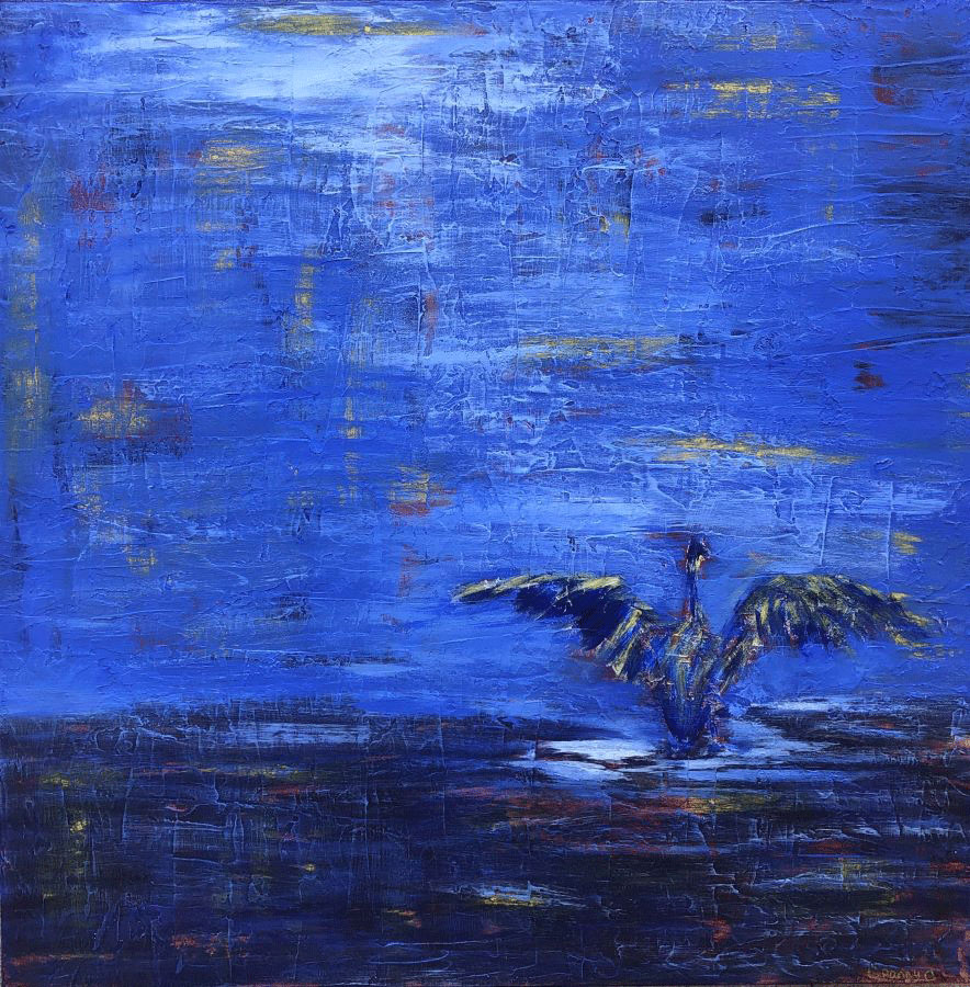 wild goose in dark blue water with wings spread under a lighter blue sky
